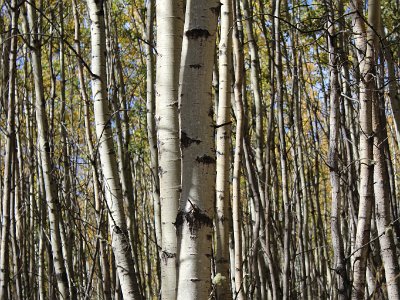 Two Rivers Sept. 16 12